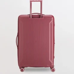 Trolley L - Rigido - Flexitech